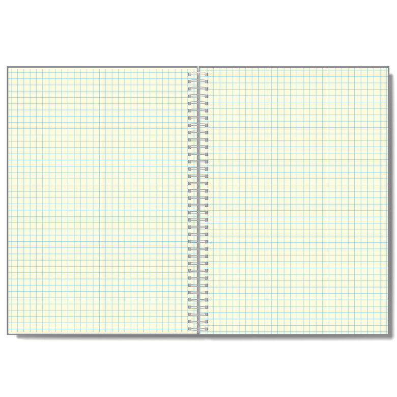 a5 klades ar tonētām rūtiņu lapām